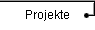 Projekte